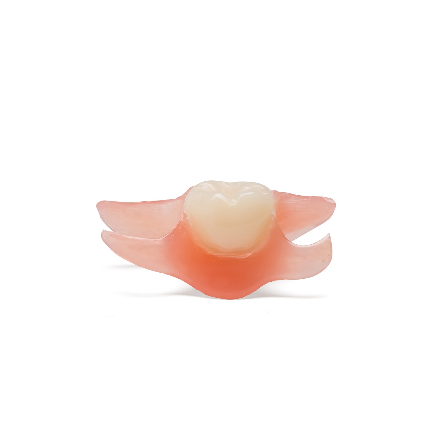 One Tooth Lower Flexible Partial Denture Flipper