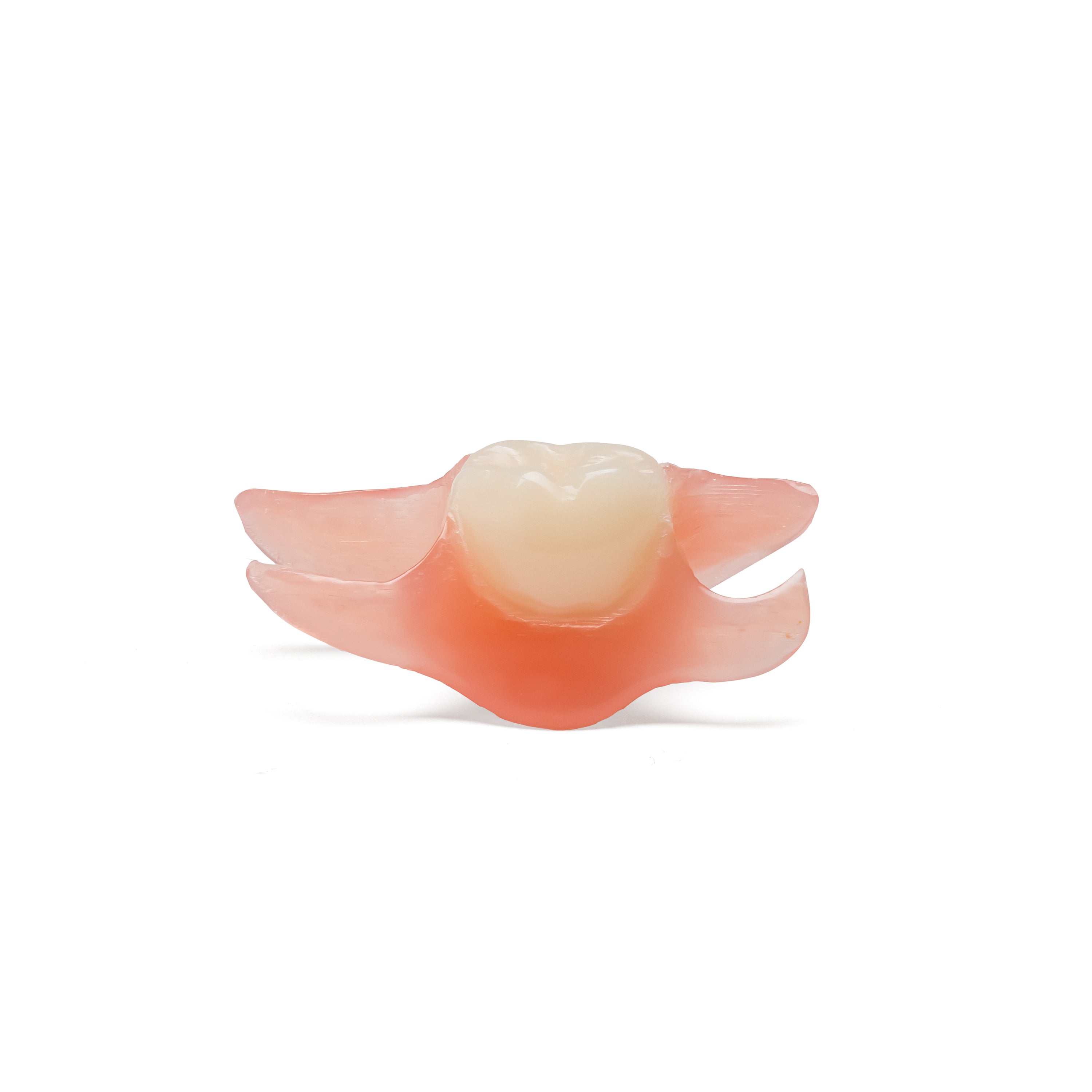 One Tooth Upper Flexible Partial Denture Flipper