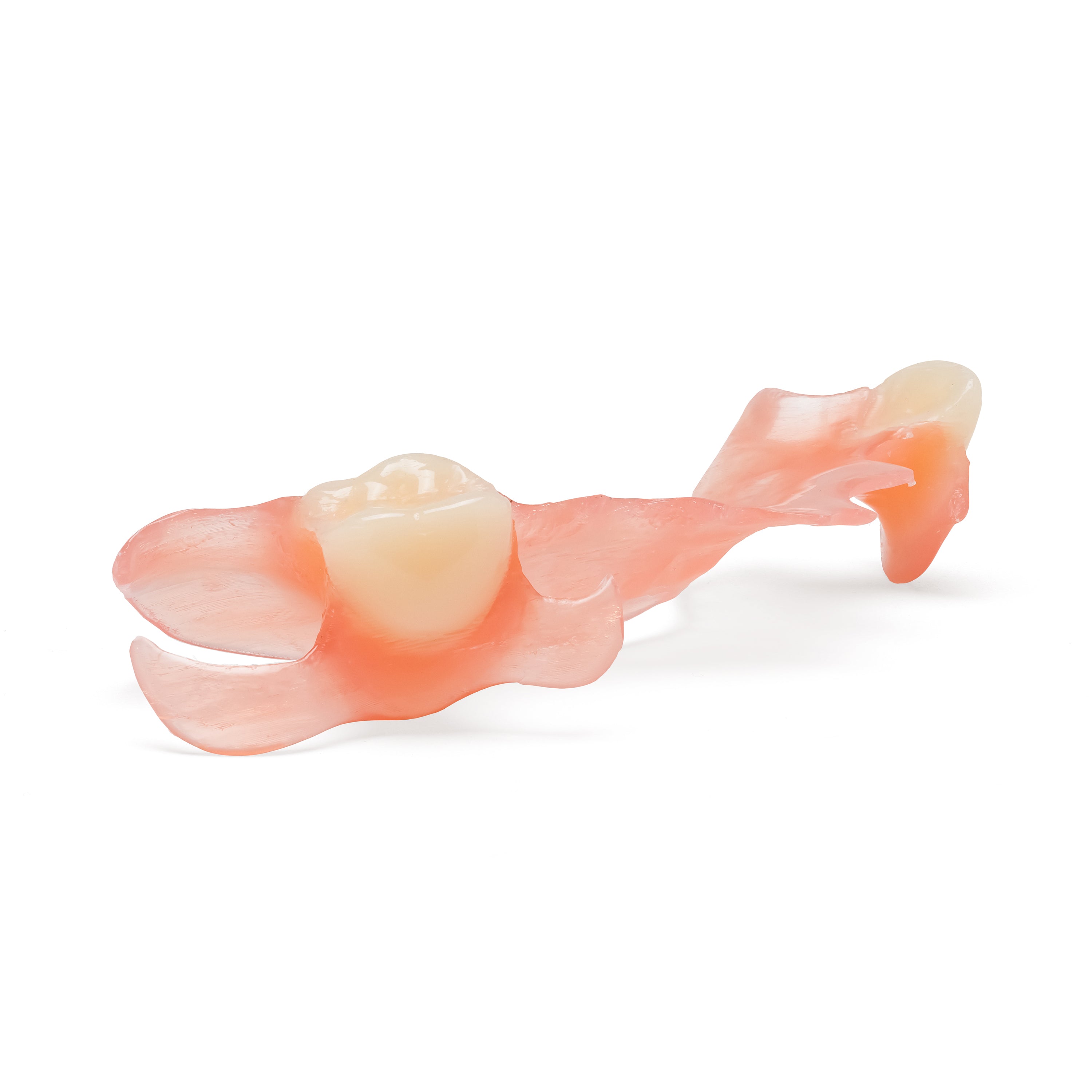Two Arch Upper & Lower Flexible Partial Dentures