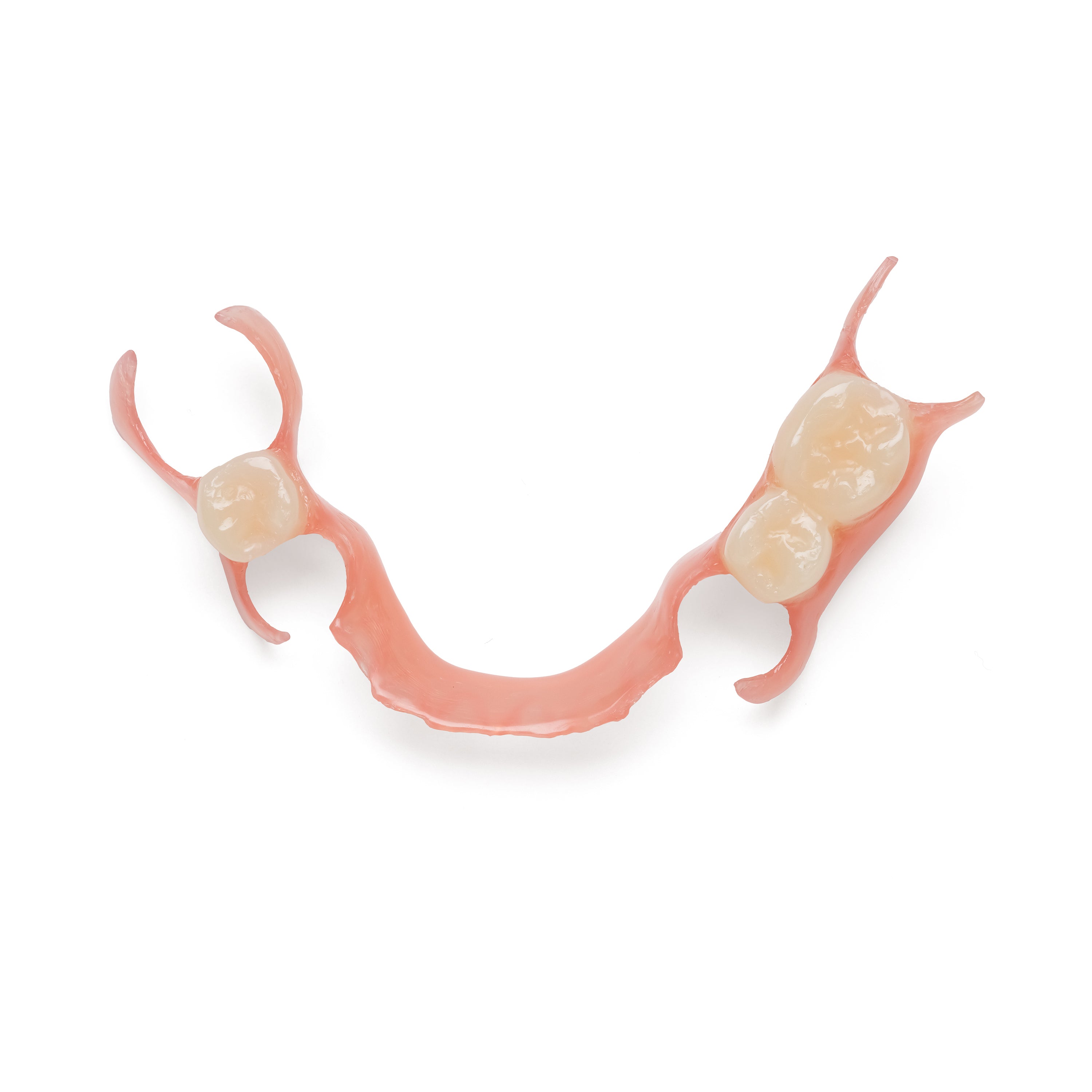 One Arch Lower Flexible Partial Denture