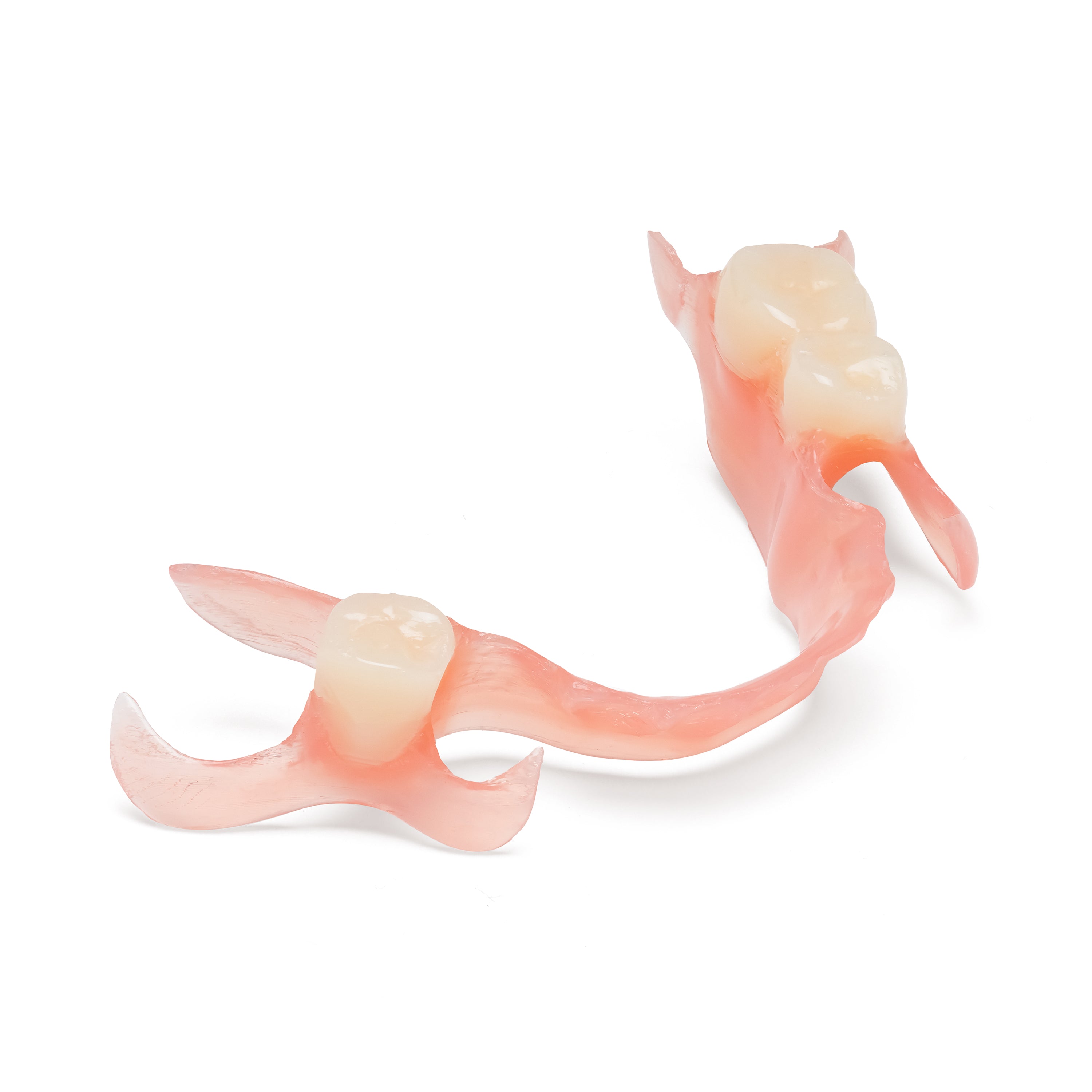 One Arch Lower Flexible Partial Denture