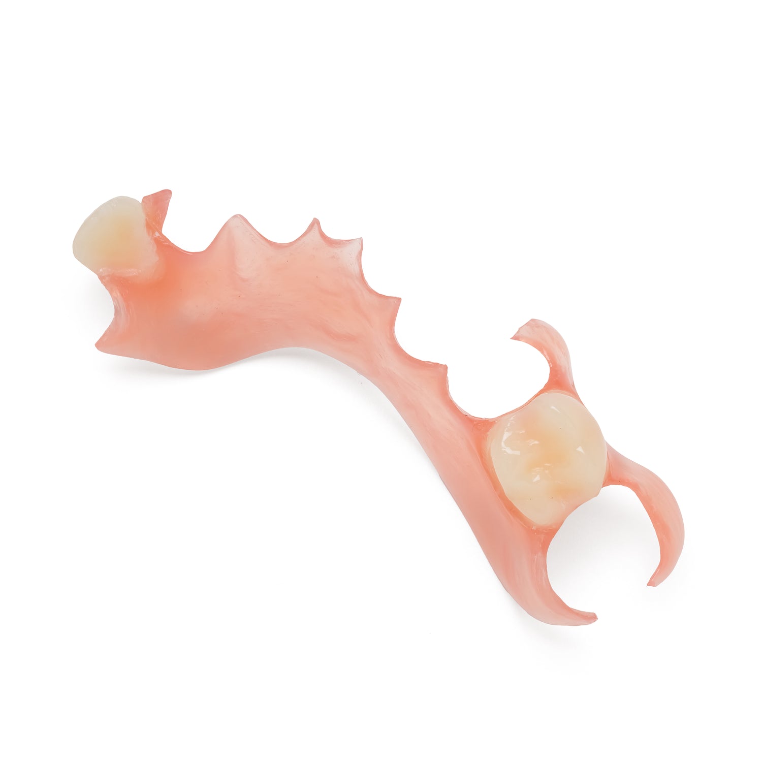 One Arch Upper Flexible Partial Denture
